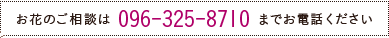 お花のご相談は096-325-8710までお電話ください